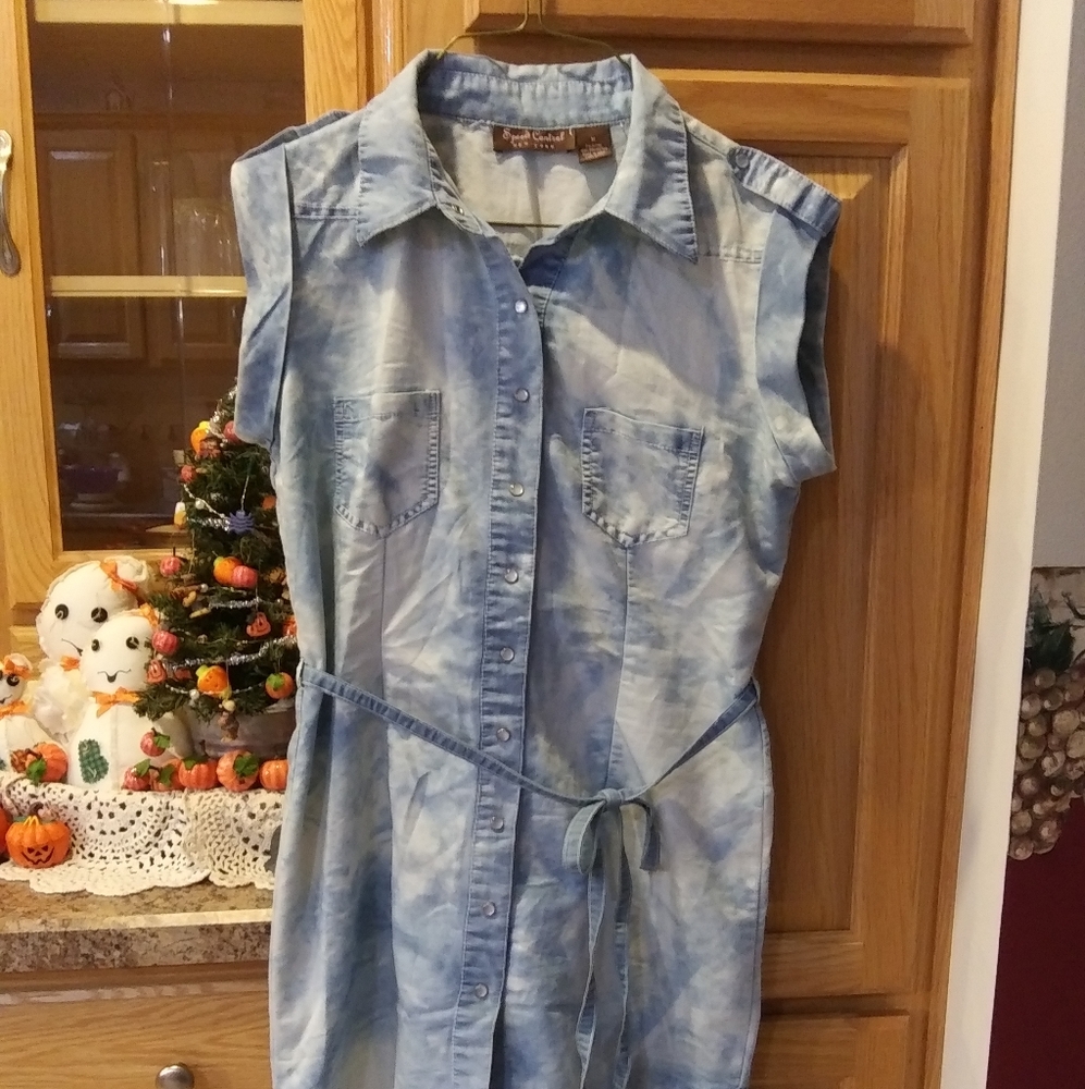 Speed Control Denim Chambray Dress